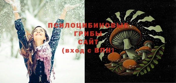 гидра Алексин